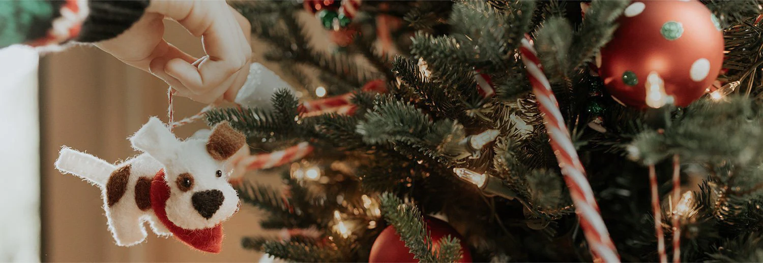 Welcome to Our Store